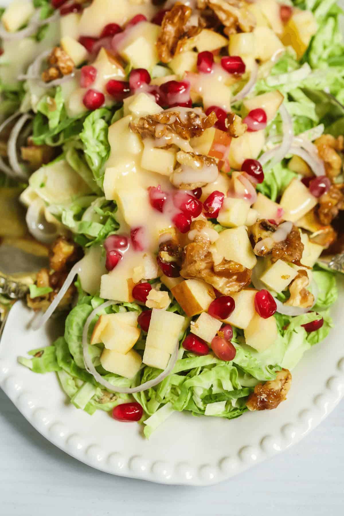 A refreshing salad with shredded lettuce, shaved Brussels sprouts, diced apples, pomegranate seeds, walnuts, and creamy dressing elegantly presented on a white plate.