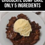 A serving of rich chocolate cake dump cake topped with a scoop of vanilla ice cream on a white plate, with text above reading "Chocolate Dump Cake Only 5 Ingredients.