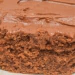A close-up of a rectangular Cocoa Mayonnaise Cake with rich chocolate frosting, shown on a white plate.