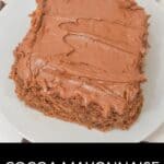 A rectangular slice of Cocoa Mayonnaise Cake with rich chocolate frosting sits on a white plate. The text below reads "Cocoa Mayonnaise Cake.