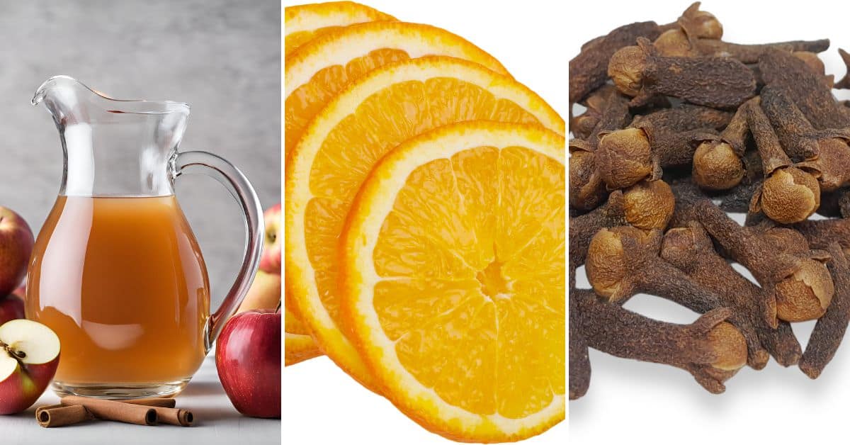 A jug of apple juice paired with apples, cinnamon sticks, orange slices, and whole cloves evokes the comforting aroma of slow cooker cider.