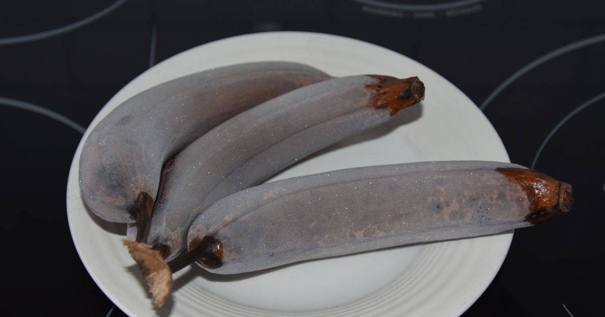 Frozen Bananas on a white plate.