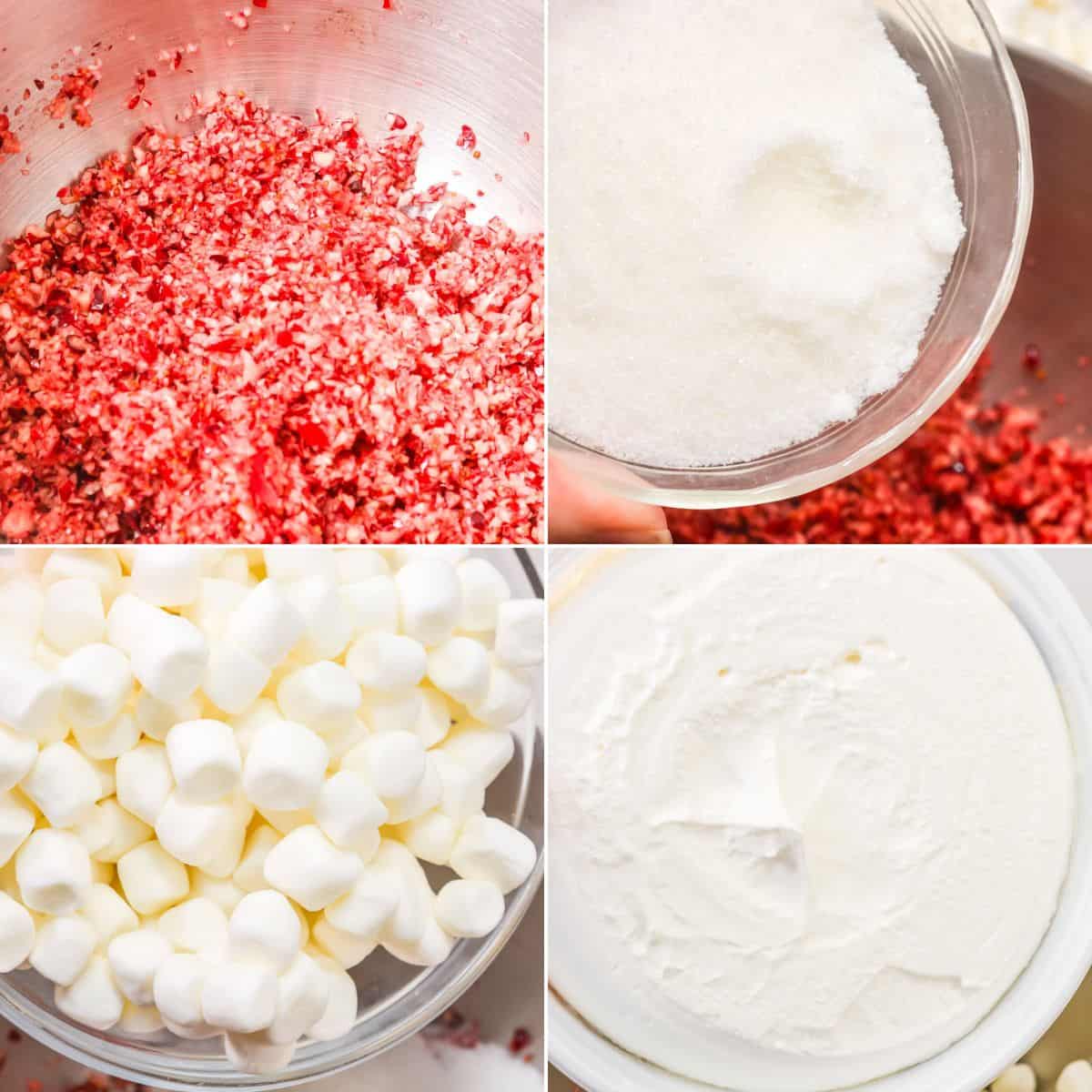 Four images arranged in a grid show chopped cranberries, a bowl of sugar, mini marshmallows, and whipped topping—classic ingredients for a festive Cranberry Fluff holiday salad or cranberry dessert.