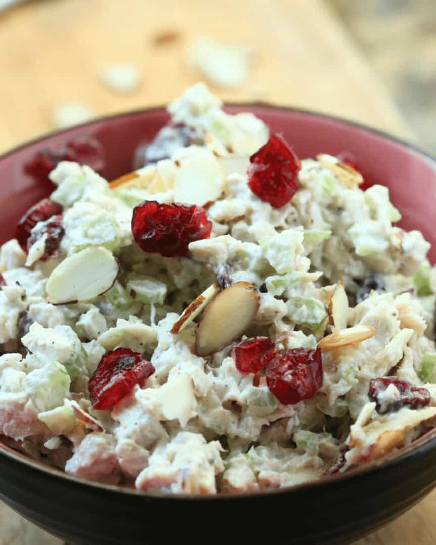 A bowl of cranberry turkey salad.