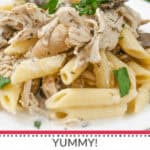 Slow cooker chicken pasta with mushrooms.