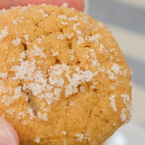 A close-up of a hand holding a sugar-coated Ginger Molasses Cookie, with more cookies blurred in the background.