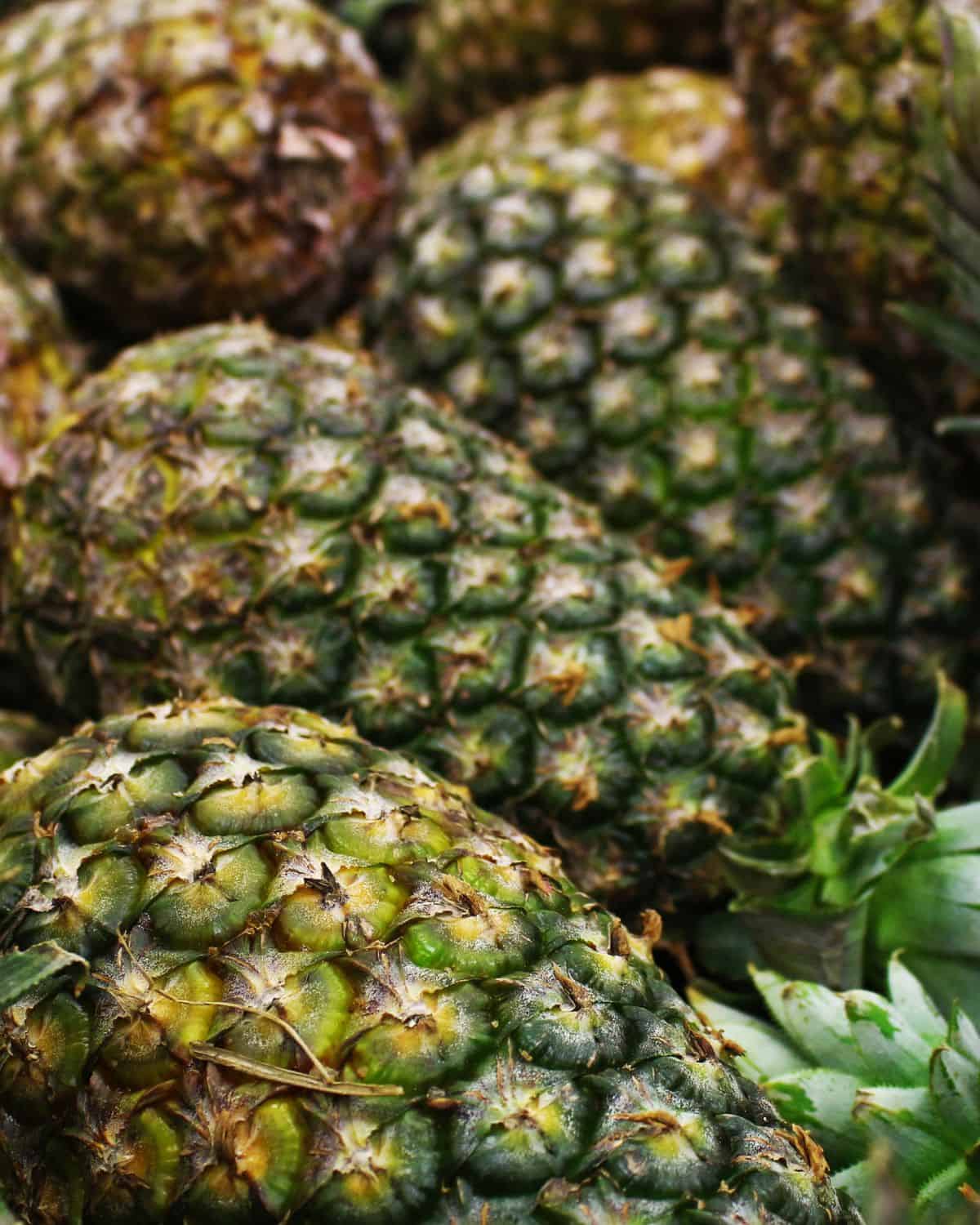 A carton of whole pineapples.