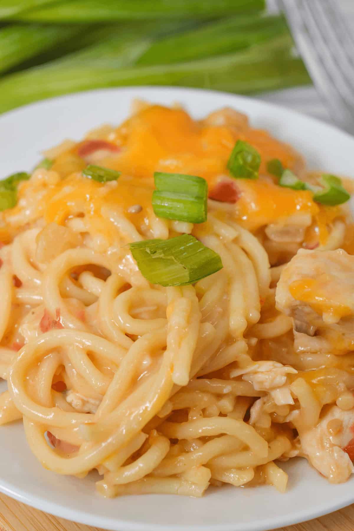 A plate of creamy rotel chicken spaghetti topped with melted cheese and garnished with chopped green onions.