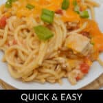 A plate of rotel chicken spaghetti topped with melted cheese and green onions sits enticingly. Text overlay reads: "Quick & Easy Rotel Chicken Spaghetti Delight.