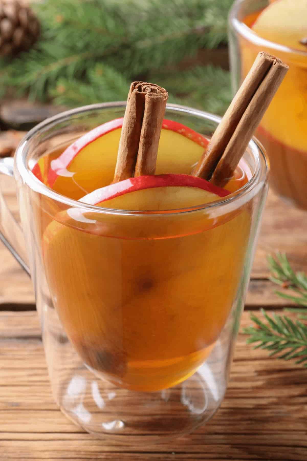 A clear mug of slow cooker apple cider with cinnamon sticks and apple slices is placed on a wooden table, framed by rustic pine branches in the background.