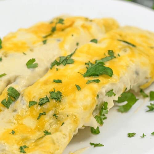 A plate with two sour cream chicken enchiladas covered in cheese and herbs, topped with melted cheese and garnished with chopped cilantro.