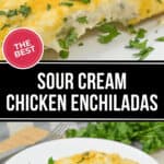 A plate of Sour Cream Chicken Enchiladas topped with melted cheese and garnished with chopped cilantro. Text overlay reads "THE BEST" and "SOUR CREAM CHICKEN ENCHILADAS".