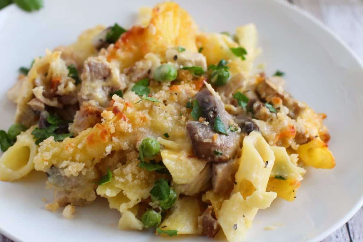 A white plate with some turkey noodle casserole served on it. 
