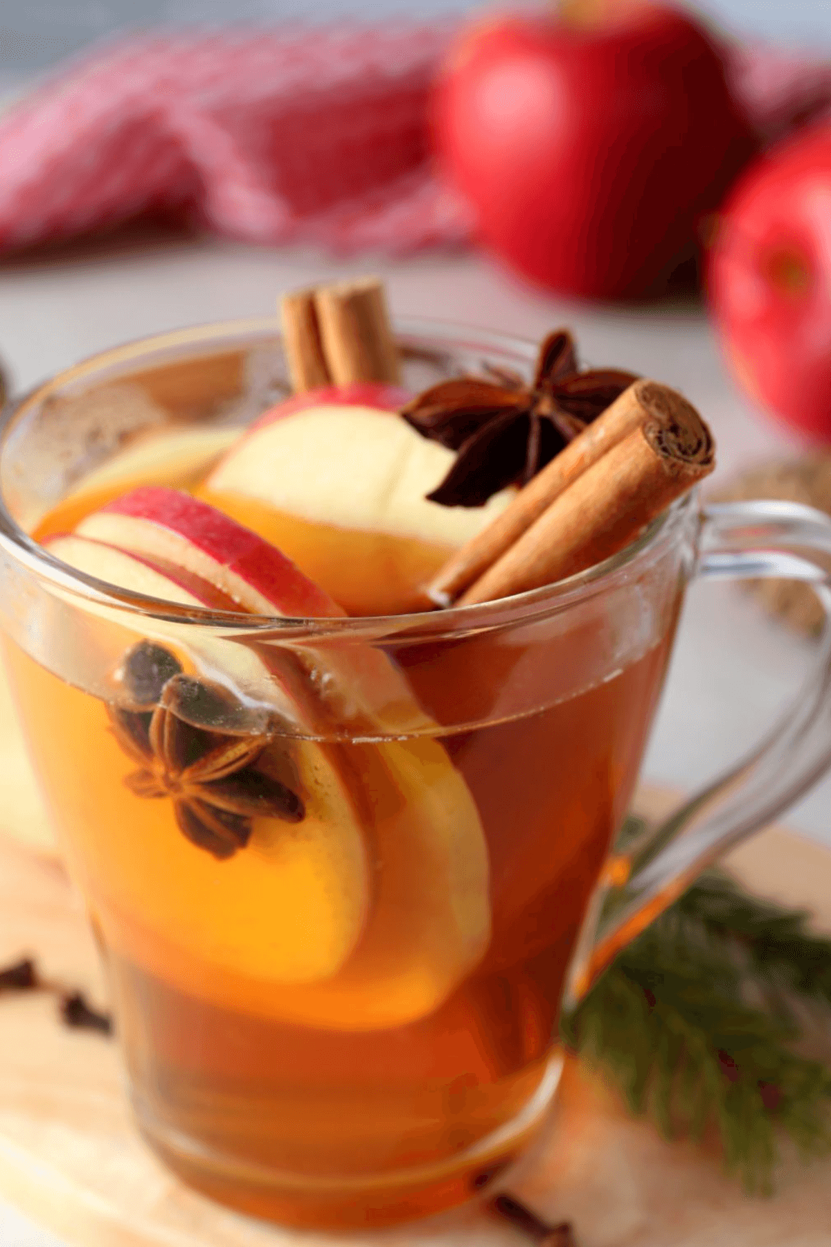 A clear mug of slow cooker cider is adorned with apple slices, cinnamon sticks, and star anise, while vibrant red apples rest on a rich red cloth in the background.
